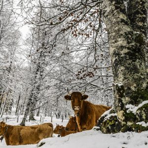 Najlepsze miejsca na narty